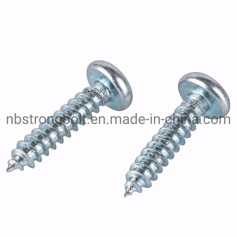 Phillip Pan Head Self Tapping Screw