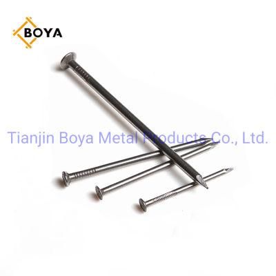 Wire Iron Nail/Hardware Nail/Polished Common Nail/Iron Nail/Building Nail