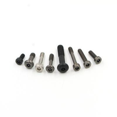 Special Stainless Steel Black Wood Chipboard Countersunk Torx Head Screw