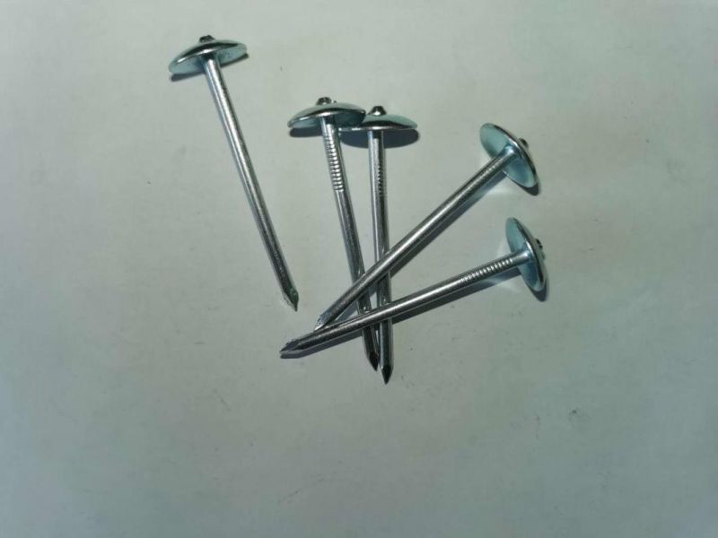 Factory Manufactured Galvanized Smooth/Twisted Shank 2.5"*Bwg9 Umbrella Head Roofing Nails
