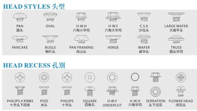 Electrodeposition Coating Screw