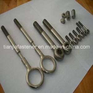 Stainless/High Tension Hinge Bolt/Eyelet Bolt/Eyebolt/Drop Bolt/Swing Bolt