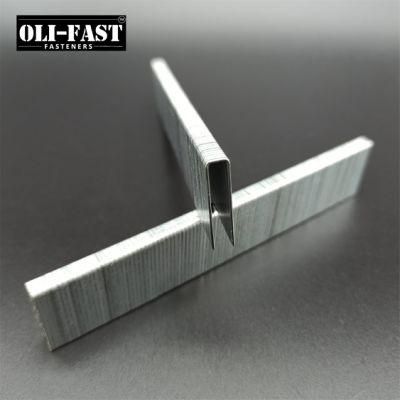 20ga 4j/25 Staples for Upholstery with High Quality