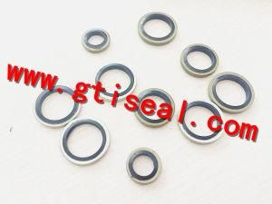 Combination Bonded Seals Washer
