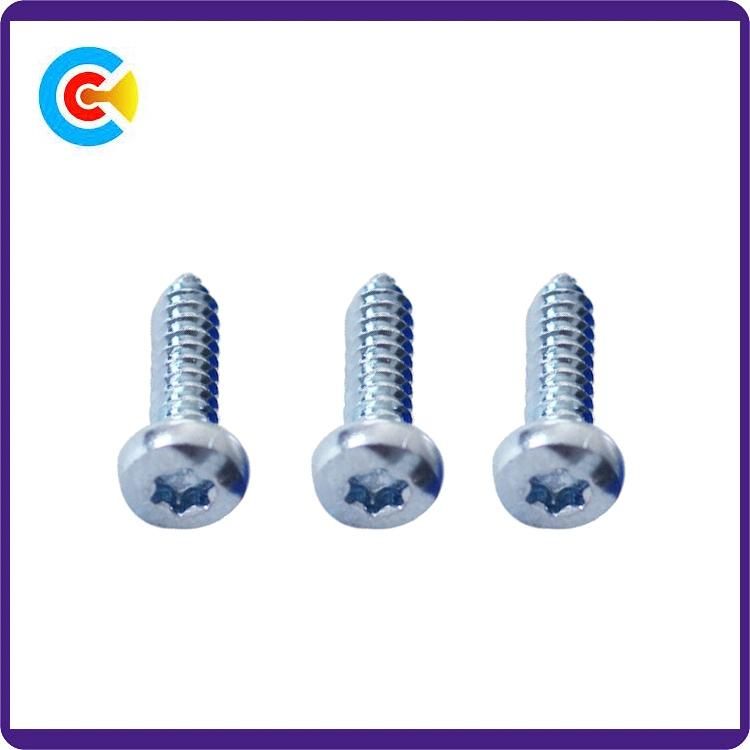 Stainless Steel Torx/Torx Plus Pan Head Self-Tapping Screw for Building/Railway