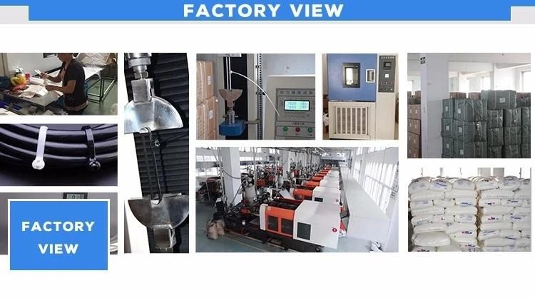 New Design Resistance to Corrosion Expansion Screw