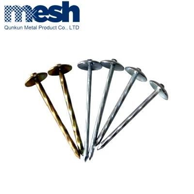 35mm Stainless Steel Roofing Nails
