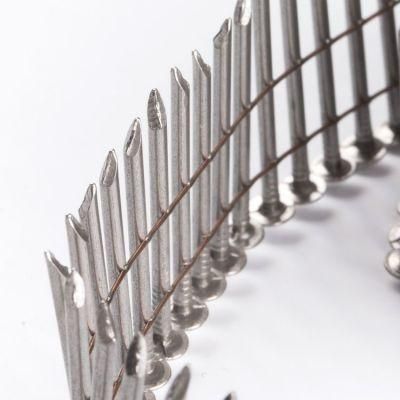 Hot Sale Smooth Coil Nails for Pallet
