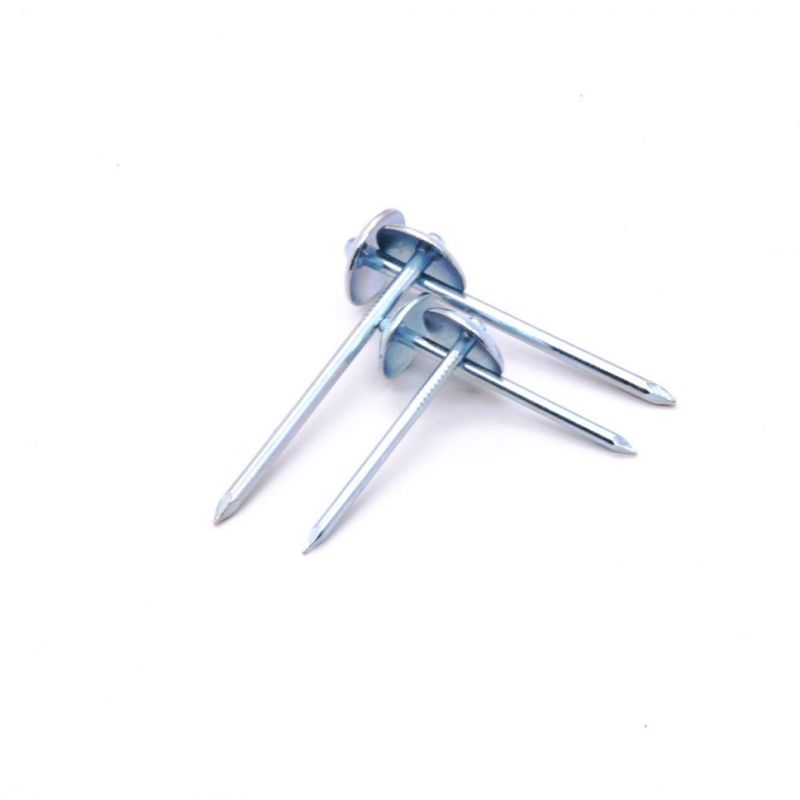 South Africa Nigeria Angola Zambia Namibia Market/Top Quality Umbrella Head with Roofing Nails for Africa