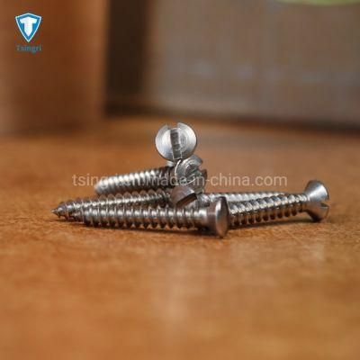 Stainless Steel Oval Slot Countersunk Head Self-Tapping Screws