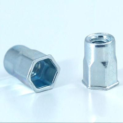 China Factory OEM ODM Fastener Customized Flat Head Hexagon Round Hex Through Hole Brass Stainless Steel Blind Rivet Nut