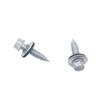 SS316 SS304 Screw/Bi-Metal Screw/Self Drilling Screw/Self Tapping Screw/Tek Screw