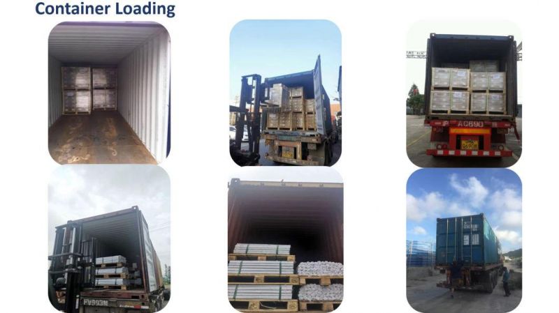 Factory Prices 3 or 4 Shield Anchor/Wedge Anchor/Concrete Anchor/Drop in Anchor/Sleeve Anchor/Nylon Anchor/Metal Frame Anchor/Ceiling Anchor/Hammer Drive Anchor