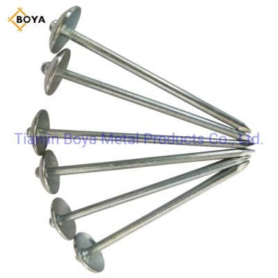 High Quality Roofing Nails Umbrella Head for South Africa Market