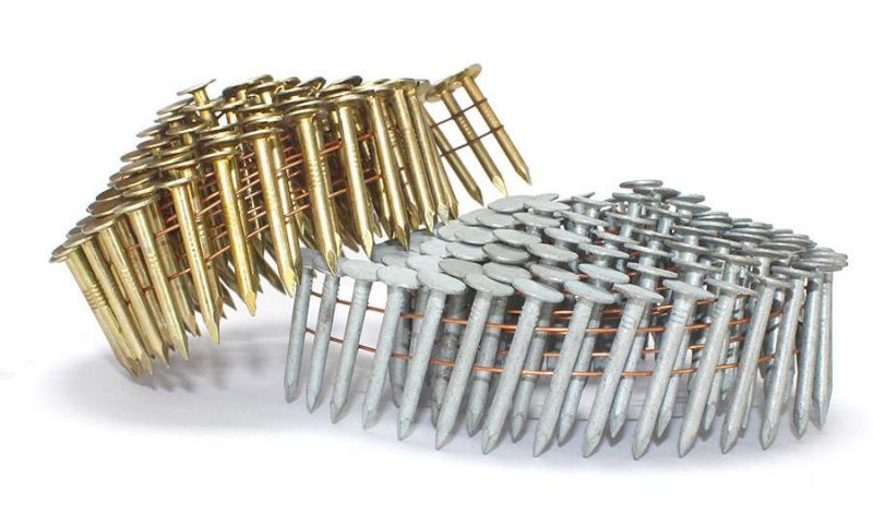 Electro Galvanized Smooth Shank Coil Roofing Nails