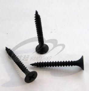 Drywall Screw