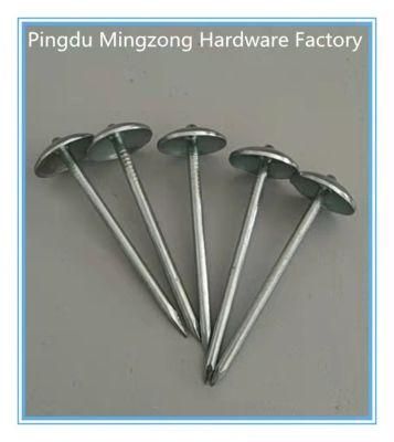 &oslash; 3.0*60.2mm Galvanized Roofing Nails with Smooth Shank and Umbrella Head