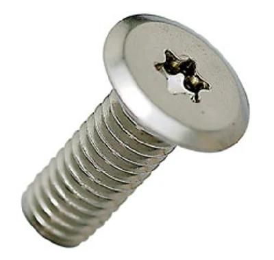 Flat Low Profile Head Torx Drive Fastener Carbon Stainless Steel Screw