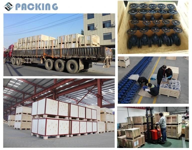 Stainless Steel/Alloy Steel/Carbon Steel Socket Welding Flanges