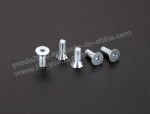 DIN7991 Hexagon Socket Countersunk Head Screw White Zinc