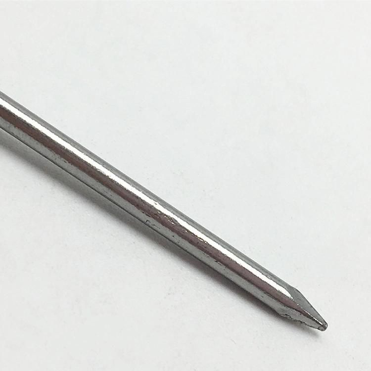 Manufacturer Wholesale High Quality Common Iron Nail