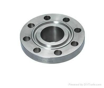 Forged Stainless Steel Flange Plate