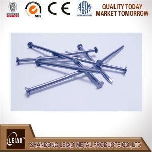Common Iron Wire Nail Factory