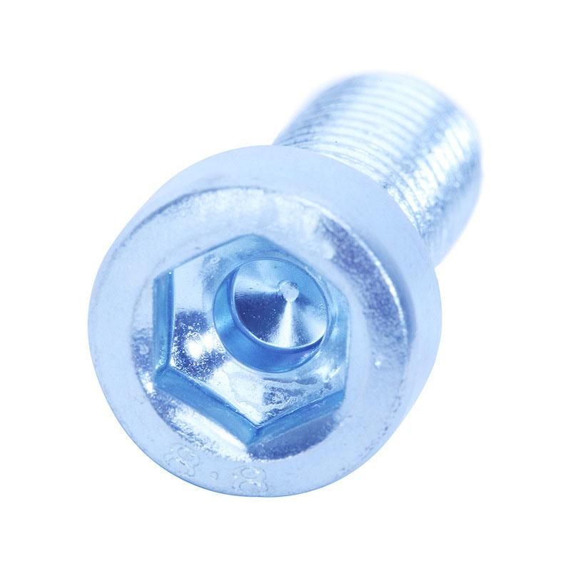 Galvanized DIN6912 Hex Socket Thin Head Short Head Low Head Cap Screw