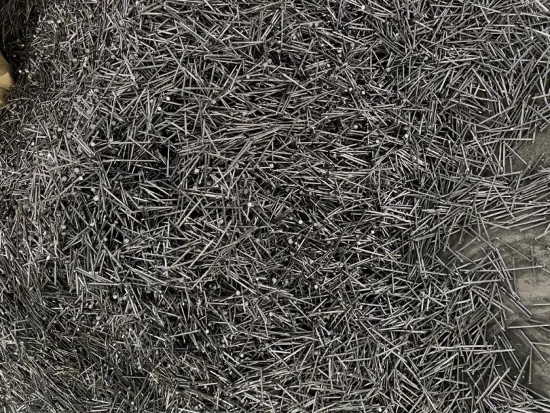 Chinese 1"-6" Bright Common Wire Nails with Round Head Bright Head at a Low Price From Dezhou