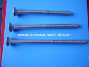 SS316 Carriage Bolts