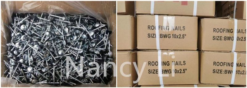 Bwg12X2" Umbrella Head Roofing Nails 50kg