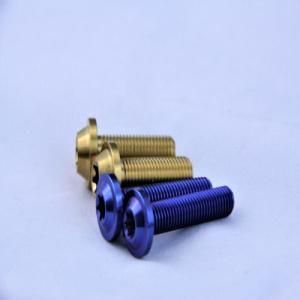 Customized Anodized DIN M10*50mm Titanium Bolt