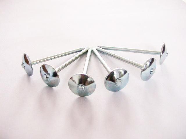 Galvanized Roofing Nails with Umbrella Head 9bwg*2.5′ ′