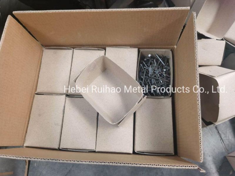 Cheap Price Q195 Common Round Iron Nail/Wire Nail/Building Metal Nail/Iron Nail/Polished Nail/Steel Nails/Wooden Nail/Galvanized Concrete Nail