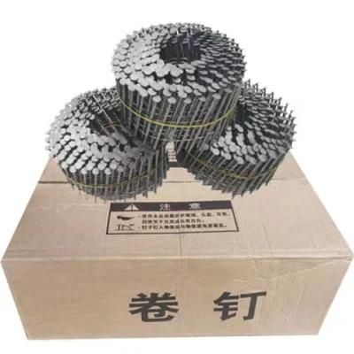 Polished Screw Coil Nail/ Pallet Nail/Pallet Coil Nail