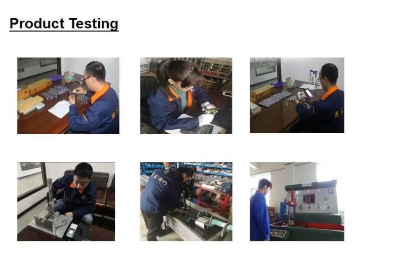 Professional Sanitary Stainless Steel Pipe Holder with Male Connector