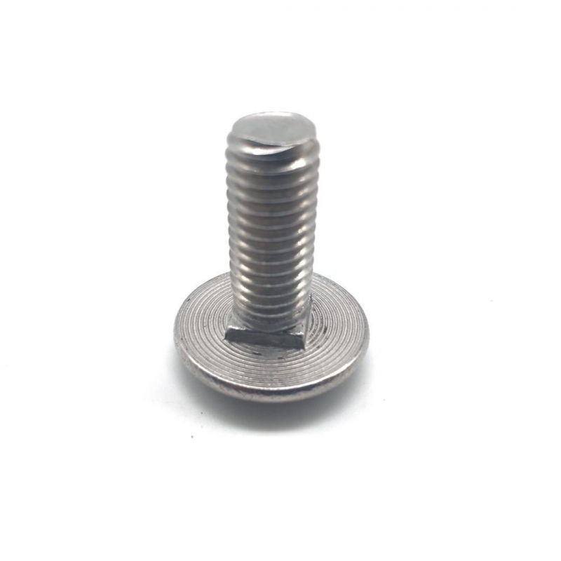 Stainless Steel304 DIN603 Mushroom Head Square Neck Carriage Bolts-5