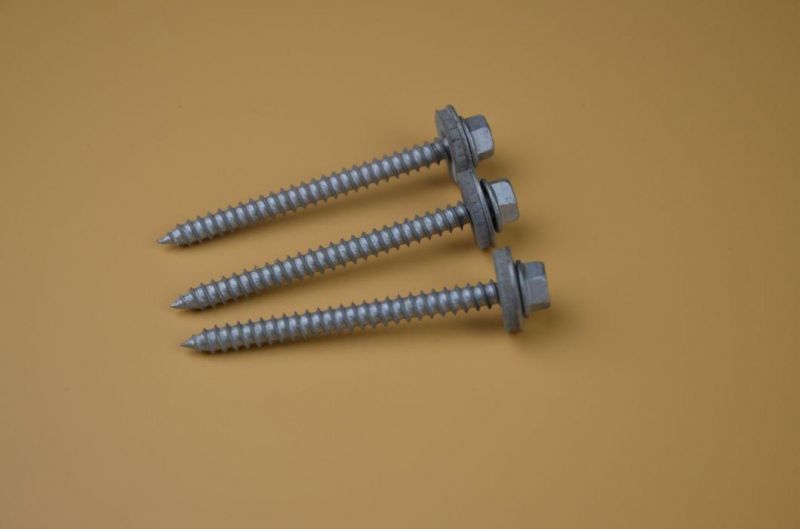 Long Roofing Screw /Self Drilling Screw SS304 Screw/Bi-Metal Screw