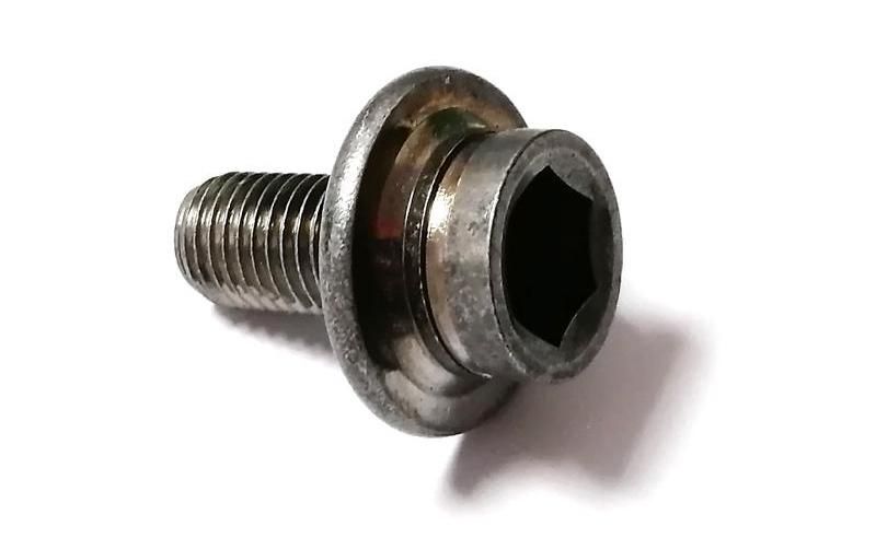 Special Stainless Steel 304 Flange Cap Head Socket Head Screws