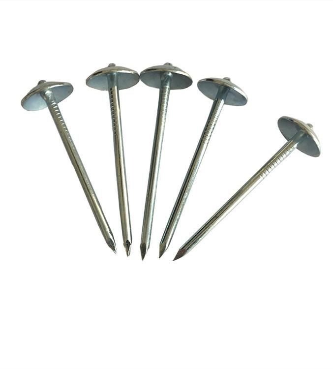 2′′-3′′ Zinc Plated Mushroom Head Roofing Nail