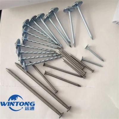 Construction Nails/Straight Pole Roofing Nails