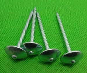 Umbrella Head Roofing Nails (factory galvanzied)