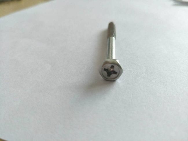 DIN/ANSI/BS/JIS Carbon-Steel/Stainless-Steel 4.8/8.8/10.9 Galvanized Shrinking Screw for Bridge