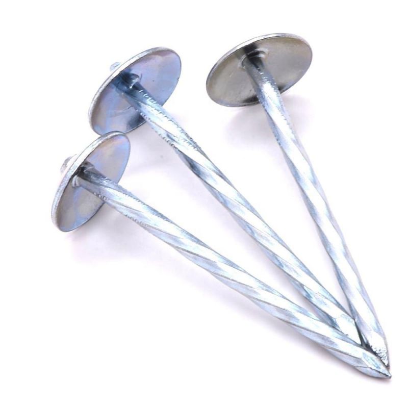 Angola Zambia Namibia Market/Galvanized Umbrella Head Roofing Nails Good Quality Roofing Umbrella Nails