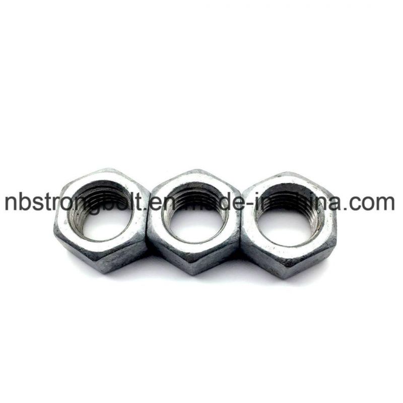 Hex Nut