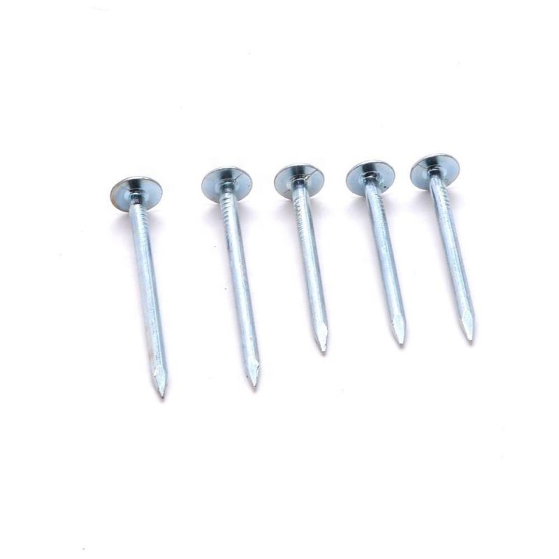 Factory Price of Roofing Nails China Common Nail Iron Big Flat Head Per Ton DIN
