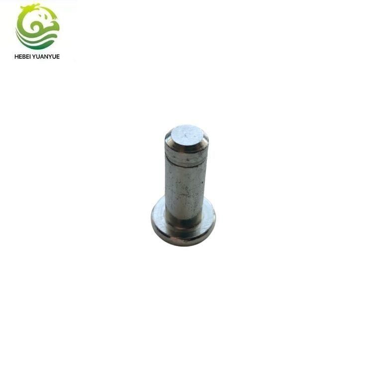 Standard Clevis Pins with Circlip for Motorcycle Fasteners