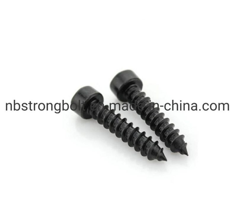 Hexagon Self-Tapping Screw Socket Self Drilling Screw