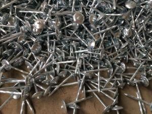 Twisted Shank Galvanized Umbrella Head Roof Nails with Rubber Washer