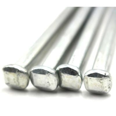 Cheap Price Galvanized Square Head Boat Nails